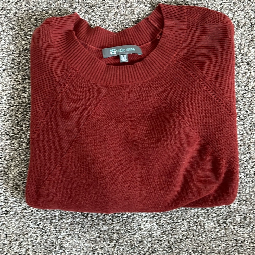 Title Nine Sweater